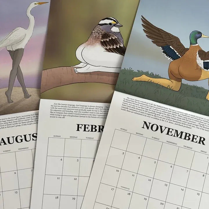 2024 Extremely Accurate Birds Calendar - Decorative Wall Monthly Calendar - Minihomy