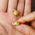 Cute Snail Ear Studs Earrings - One Pair Package - Minihomy