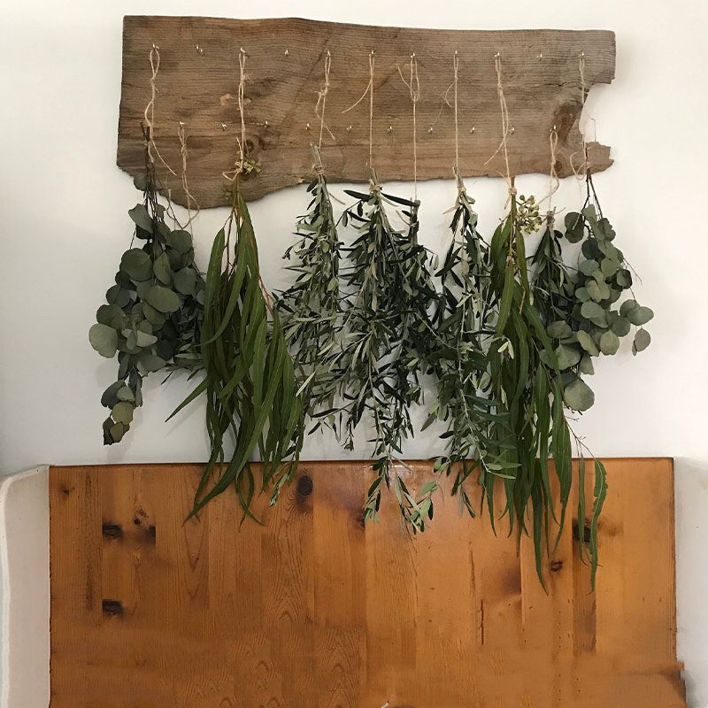 Bath Home Decor Natural Dried Flowers Lavender Immortal Eucalyptus Leaves: Bring Nature Indoors - Minihomy