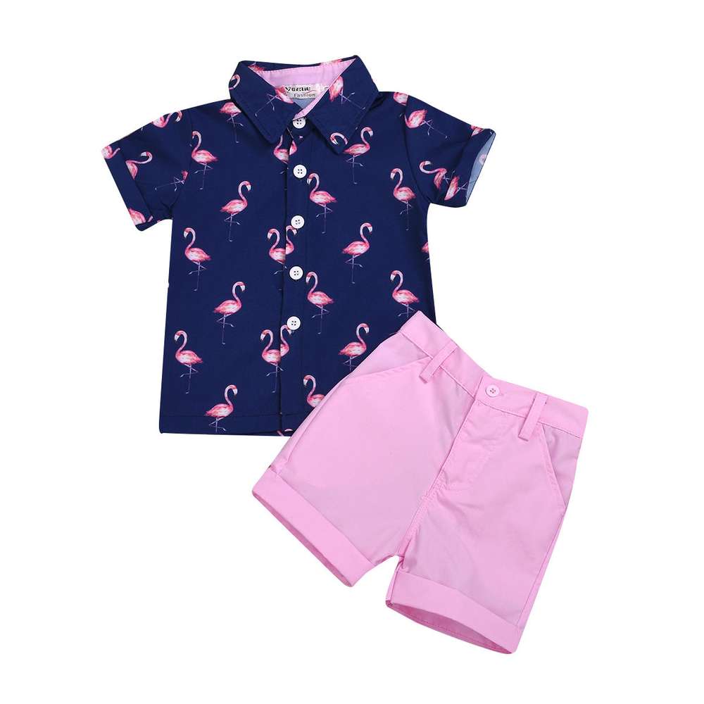 Kids Boys Summer Clothes Sets - Minihomy