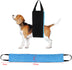 Pet Products Dog Auxiliary Belt Pet Power: Your Dog's Companion for Comfortable Mobility - Minihomy