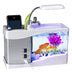 Mini Aquarium Perpetual Calendar Alarm Clock USB Flowing Lights Have Years of Gifts - Minihomy