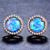 Female Cute Fashion Zircon Earrings Jewelry - Minihomy