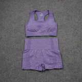 Seamless Fitness Yoga Wear Shorts Set