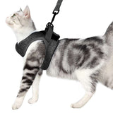 Chest Harness Cat Leash Vest - Minihomy