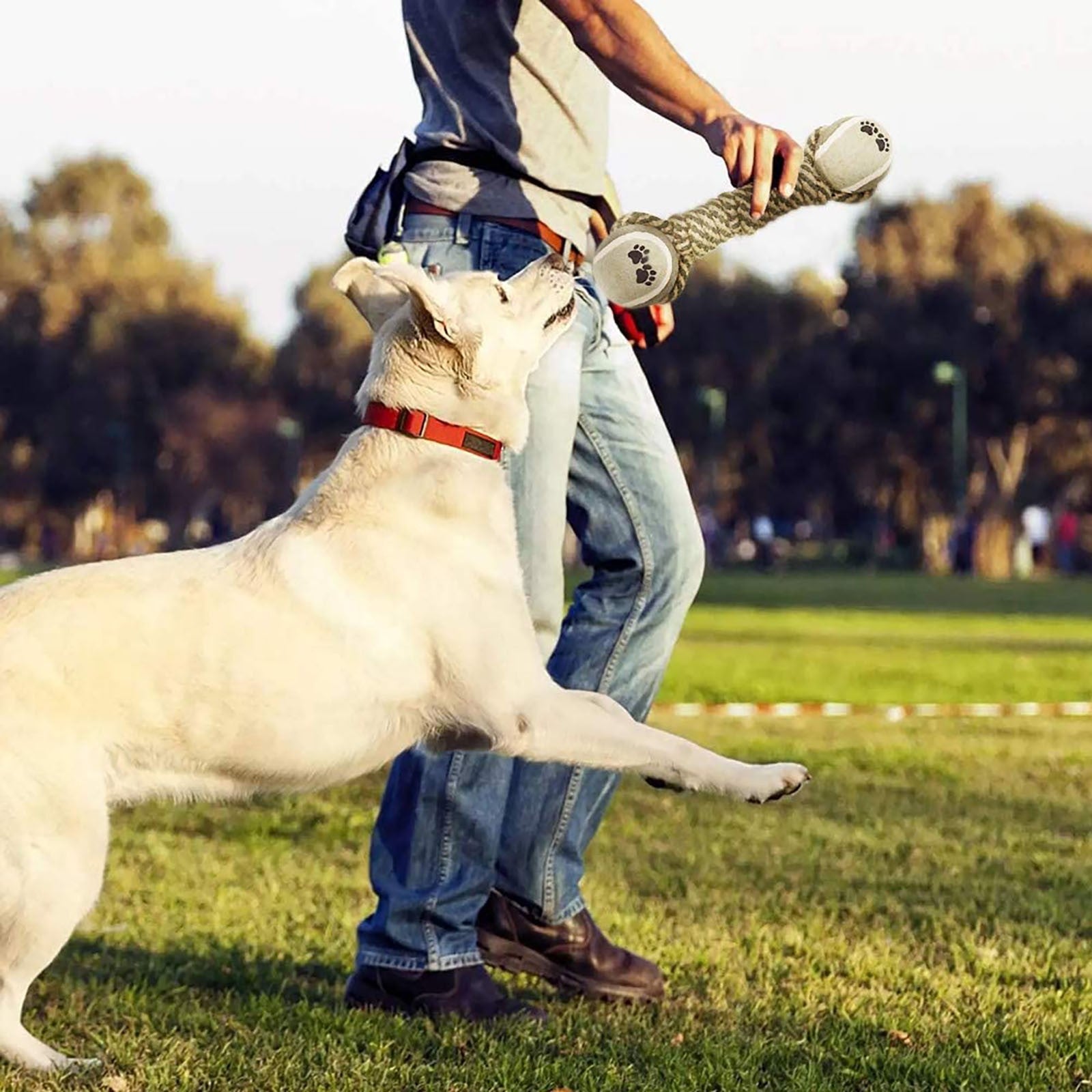 Portable Dog Water Bottle with Leak-Proof Design - Easy Hydration for Dogs, BPA-Free, Large Capacity, Ergonomic Grip - Minihomy