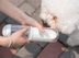 Outdoor Travel Water Bottle for Pets - Pet Travel Cup - Minihomy