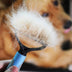 Pet Grooming Brush Deshedding Tool for Dogs and Cats - Dual-Sided Undercoat Rake & Fur Remover - Minihomy