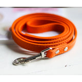 Pet Leash Collar - Minihomy