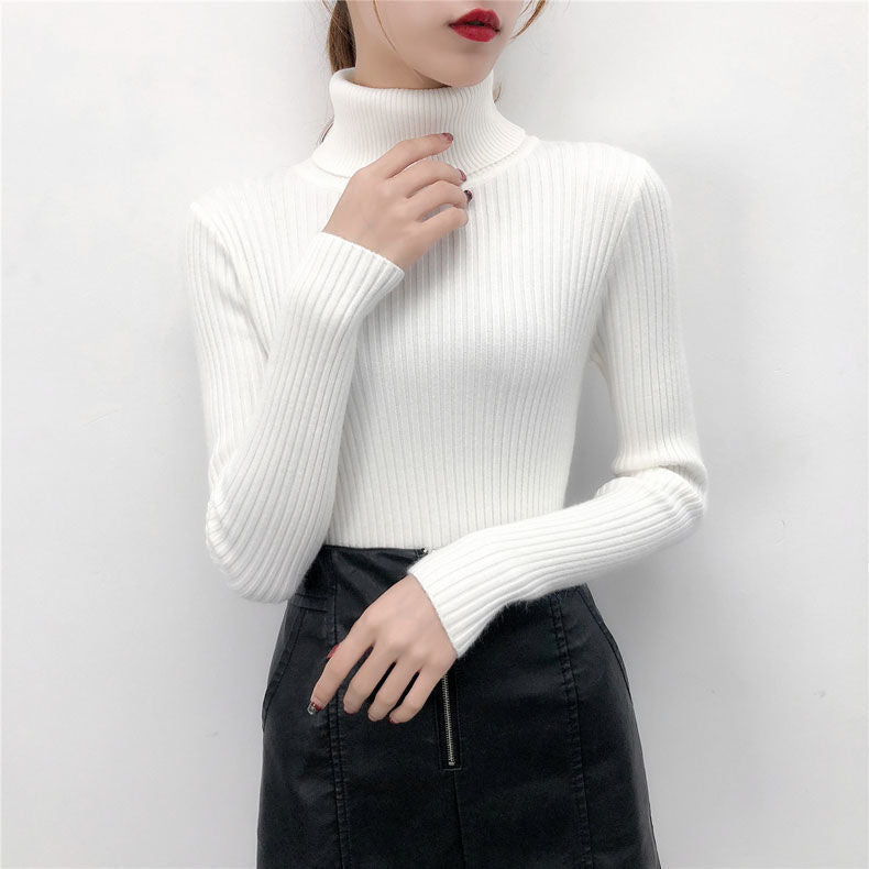 Turtleneck Pullover