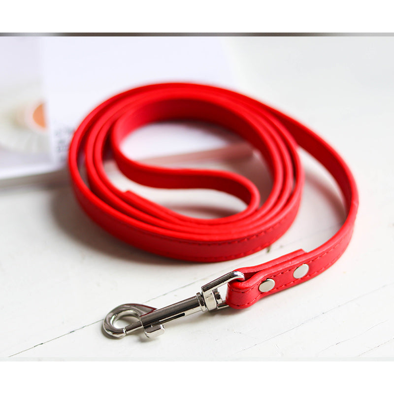 Pet Leash Collar - Minihomy