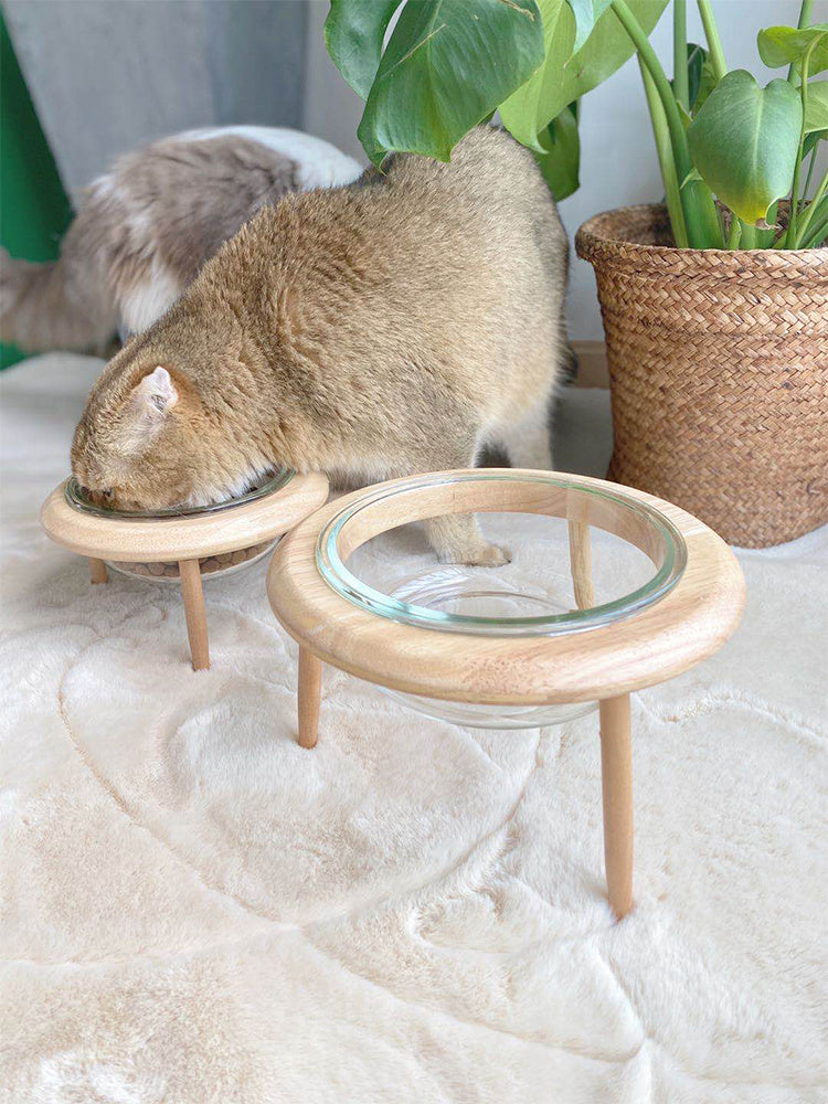 Ceramic Cat Bowl - Elevated Pet Water & Food Dish for Cats - Minihomy