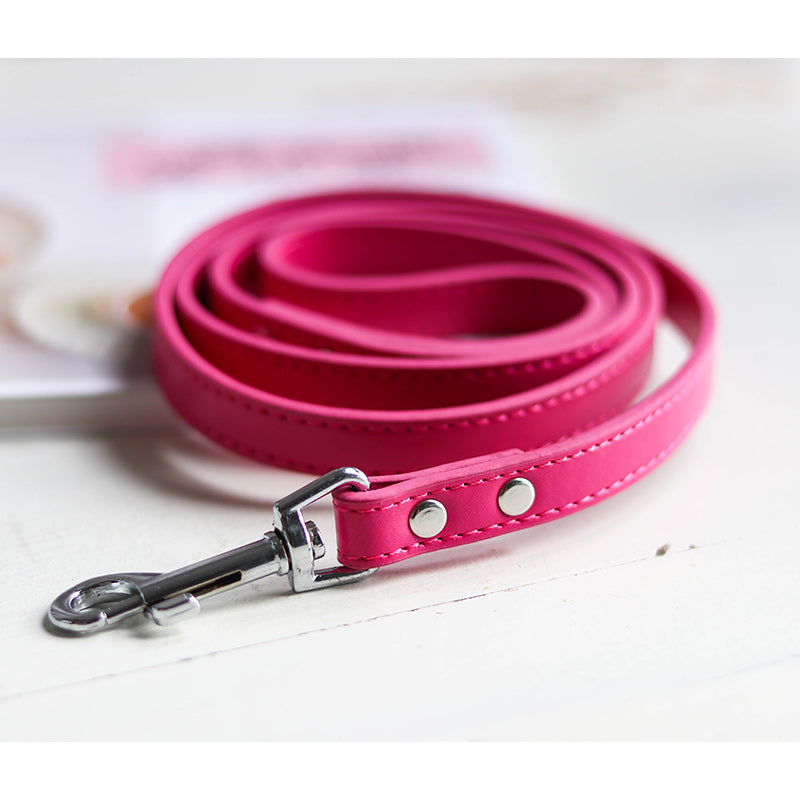 Pet Leash Collar - Minihomy