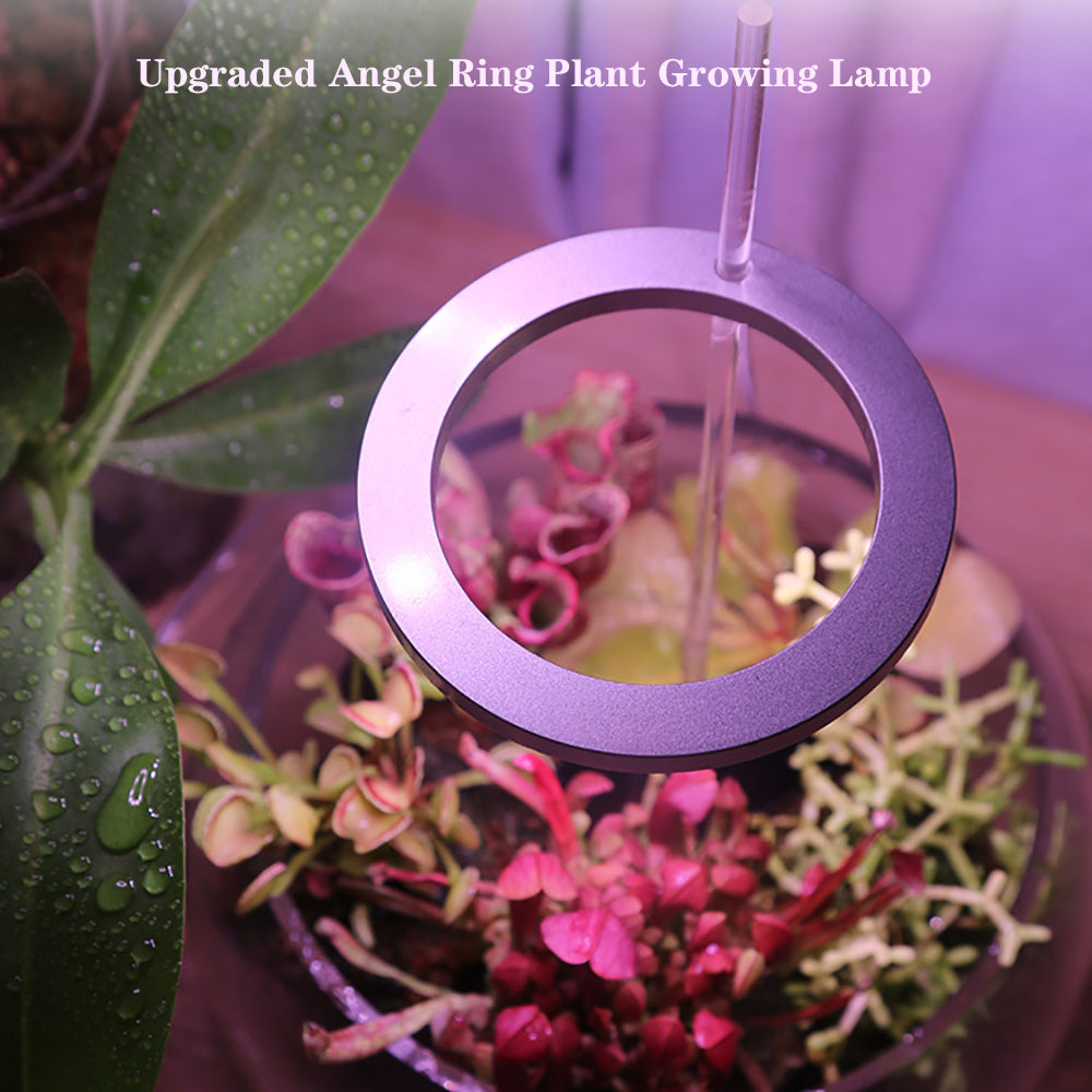 LED Grow Light Full Spectrum Angel Ring Phyto Grow Lamp USB Phytolamp - Minihomy