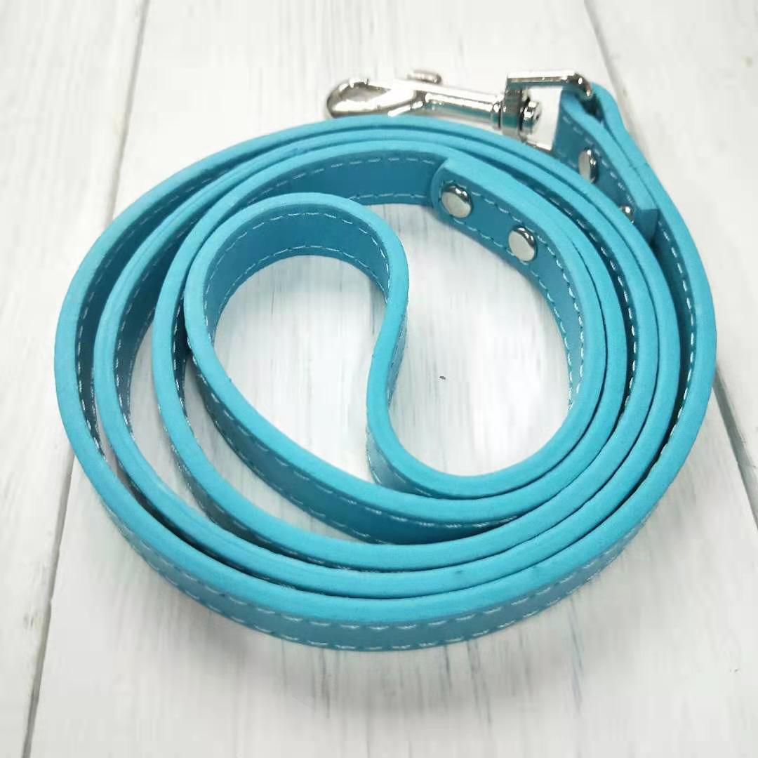 Pet Leash Collar - Minihomy