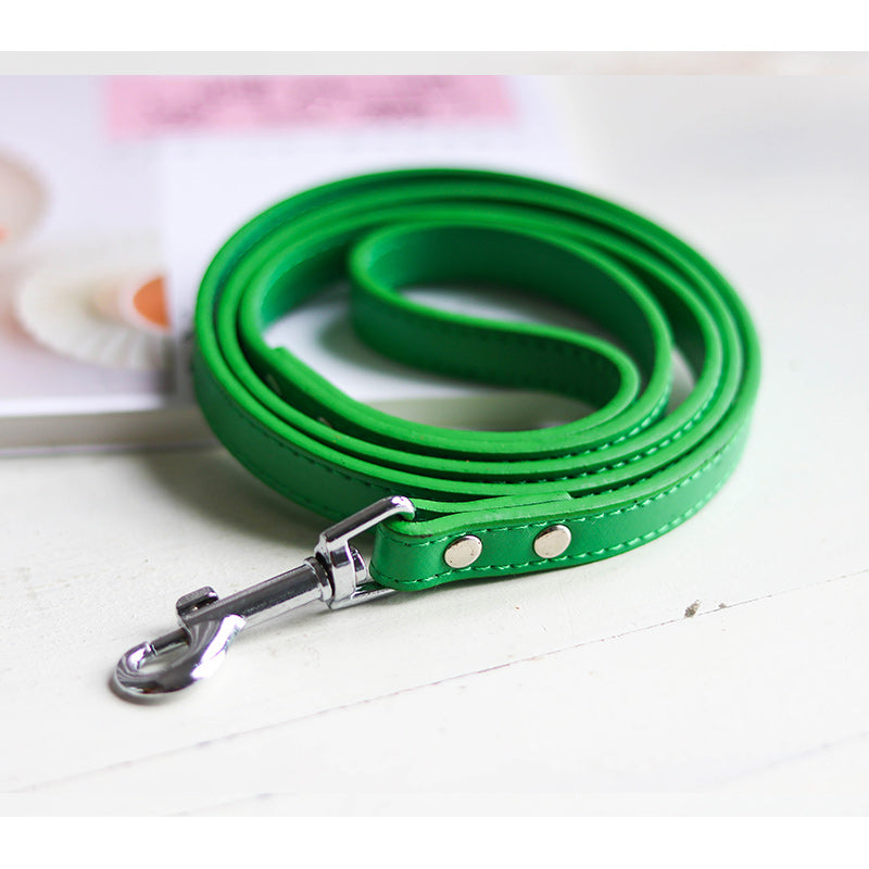 Pet Leash Collar - Minihomy