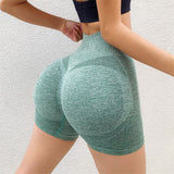 Fitness Yoga Shorts Pants Butt Lifting Seamless Leggings Women Gym - Minihomy