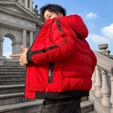 Winter Korean Down Cotton-padded Jacket