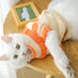 Cat Clothes For Fall Kittens To Prevent Shedding - Minihomy