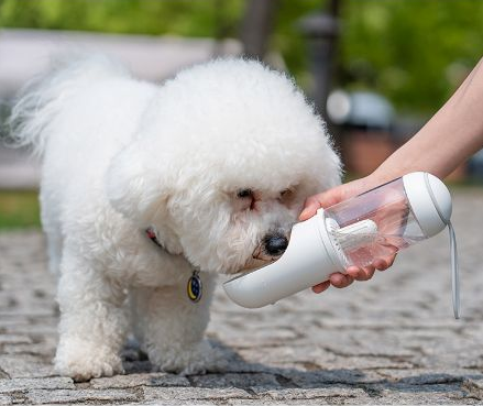 Outdoor Travel Water Bottle for Pets - Pet Travel Cup - Minihomy