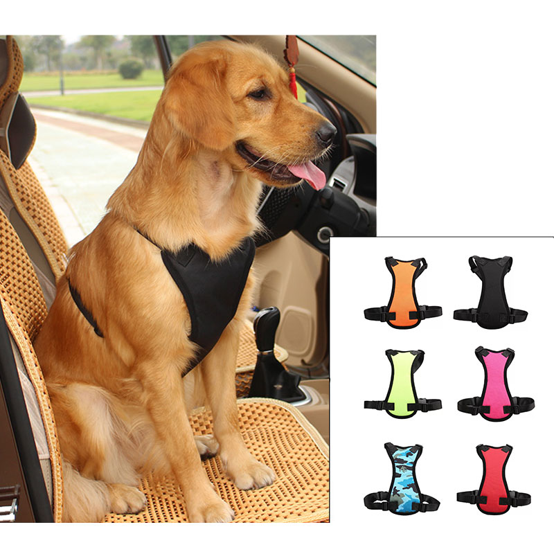 Car seat belts for pets - Minihomy