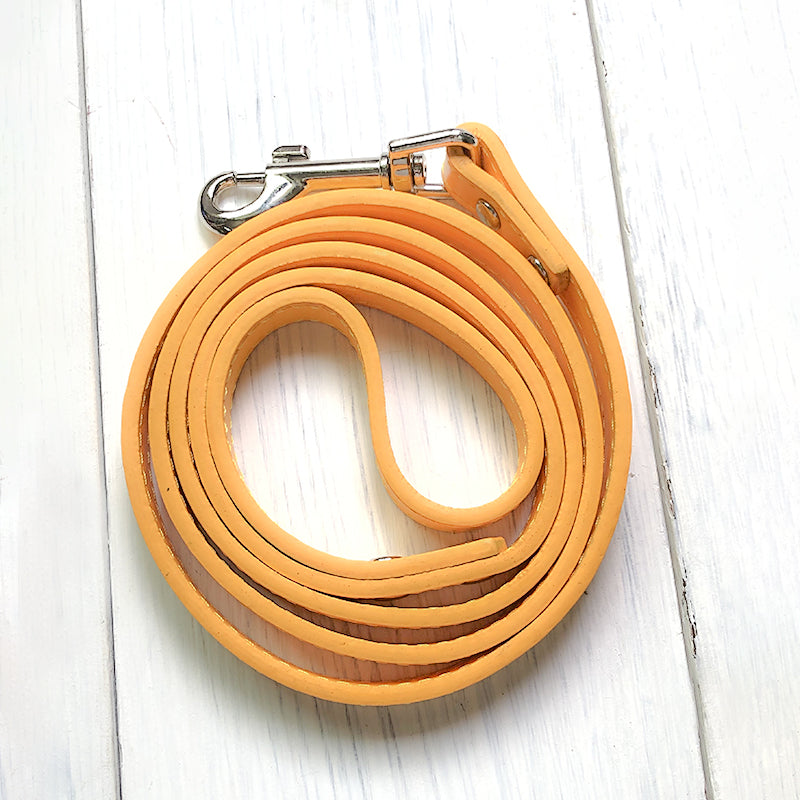 Pet Leash Collar - Minihomy