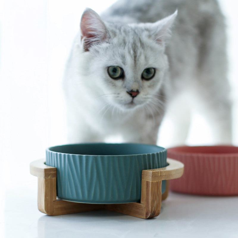 Ceramic Cat Food Bowl with Drinking Bowl for Cats - Minihomy