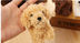 Pet doll teddy dog toy - Minihomy