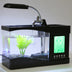 Mini Aquarium Perpetual Calendar Alarm Clock USB Flowing Lights Have Years of Gifts - Minihomy