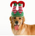 Pet Christmas Dress Up Dog Christmas Hat Pet Funny Striped Clown Hat - Minihomy