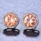 Female Cute Fashion Zircon Earrings Jewelry - Minihomy