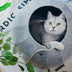 Foldable Cat Tunnel Toy - Multi-Function Cat Cave Bed and Interactive Pet Toy - Minihomy