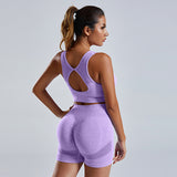 2-Piece Yoga Set: Women's Vest and Shorts Tracksuit - Minihomy