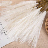 Mini Pampas Grass: Faux Flower Home Decor