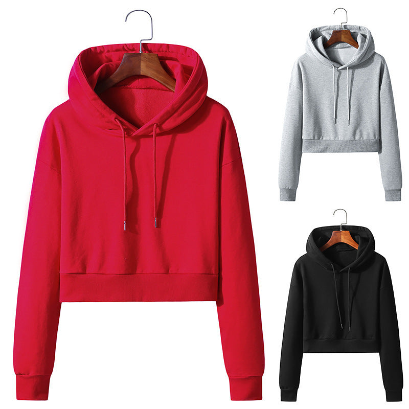 Cotton Hooded Pullover Short Sweater Exposed Navel: Cozy Comfort with a Stylish Twist - Minihomy