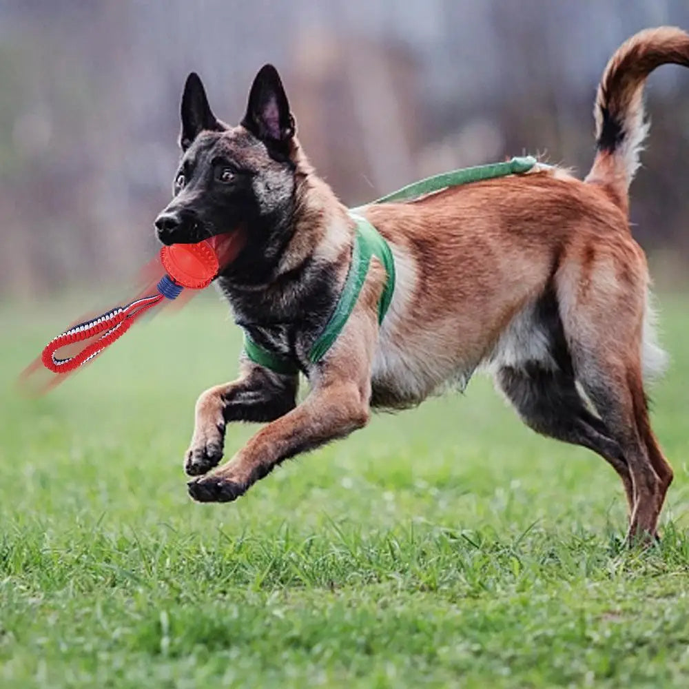 Interactive Dog Toy Ball - Teether with Rope for Chewing, Training & Fun - Minihomy