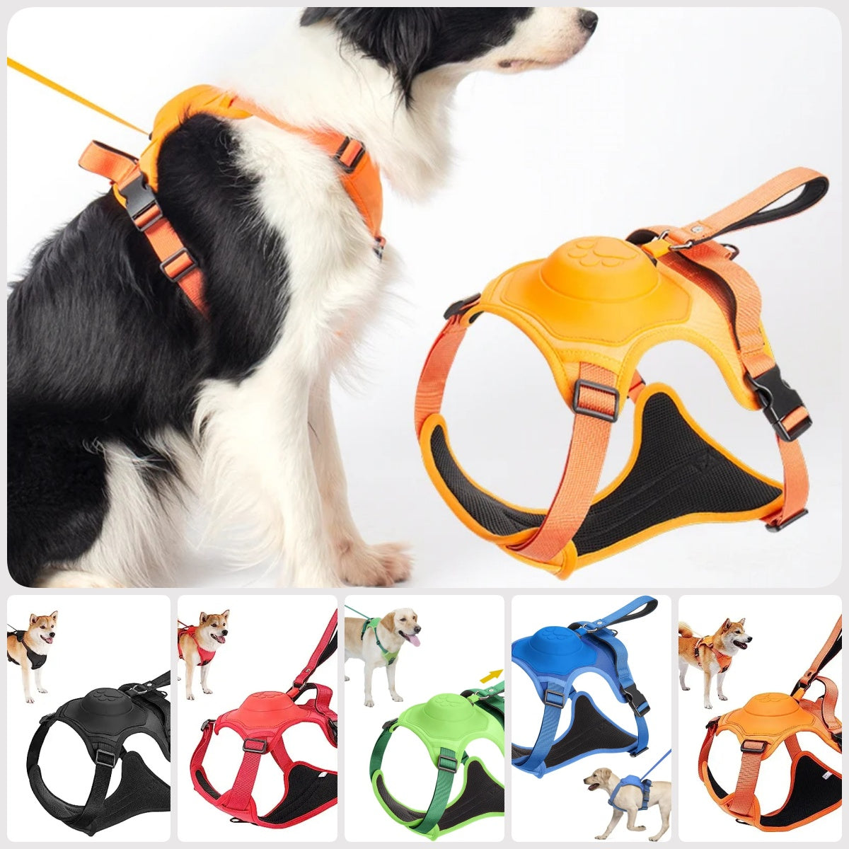 Explosion-Proof Dog Collar Harness with Retractable Leash - Safe and Adjustable - Minihomy