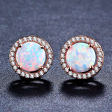 Female Cute Fashion Zircon Earrings Jewelry - Minihomy