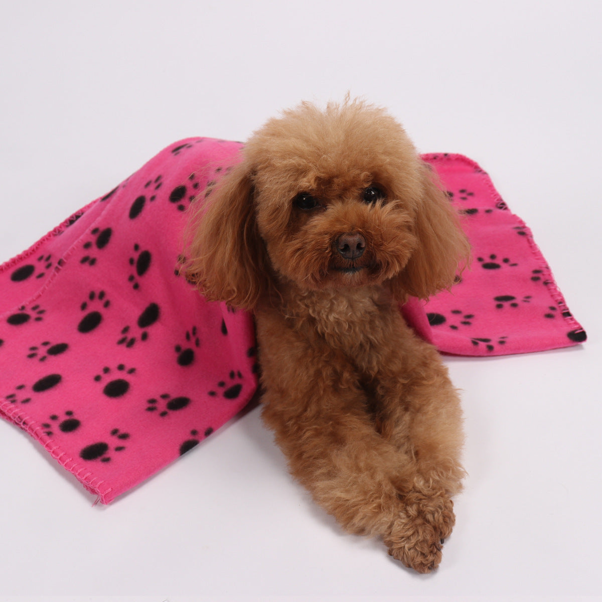 Dog Double-sided Fleece Blanket Warm Pet Blanket Cat Dog Paw Blanket Mattress Pet Pad - Minihomy