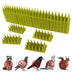 Bird Repellent Spurs Plastic Bird Repellent Spurs Bird Repellents And Cat Sting - Minihomy