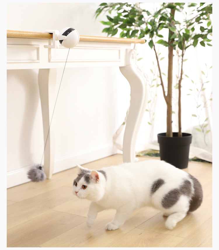 Pet Cat Toy Electronic Motion Cat Toy Interactive - Minihomy