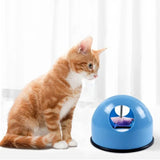 Cat plate toy spin catch cat toy - Minihomy