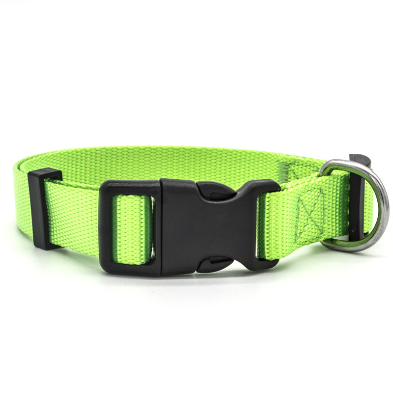 Soft Nylon Pet Collar: Comfortable and Durable