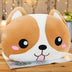 Cute Shiba Inu Pillow - Minihomy