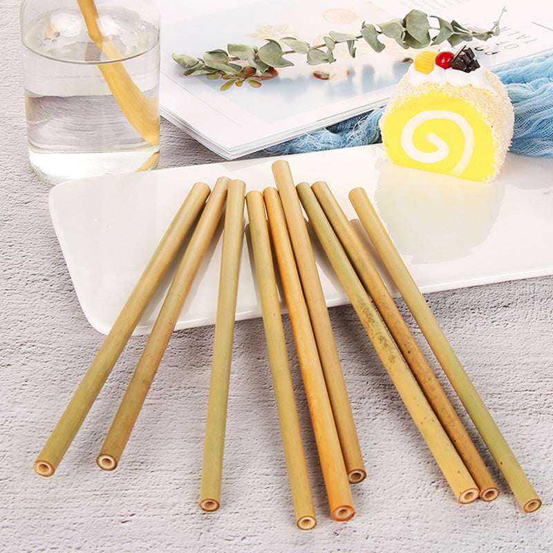 5pcs Natural Bamboo Straws - Minihomy