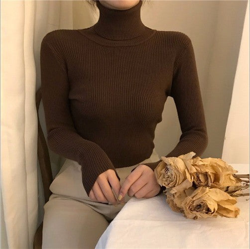 High Collar Warm Long Sleeve Sweater Women - Minihomy