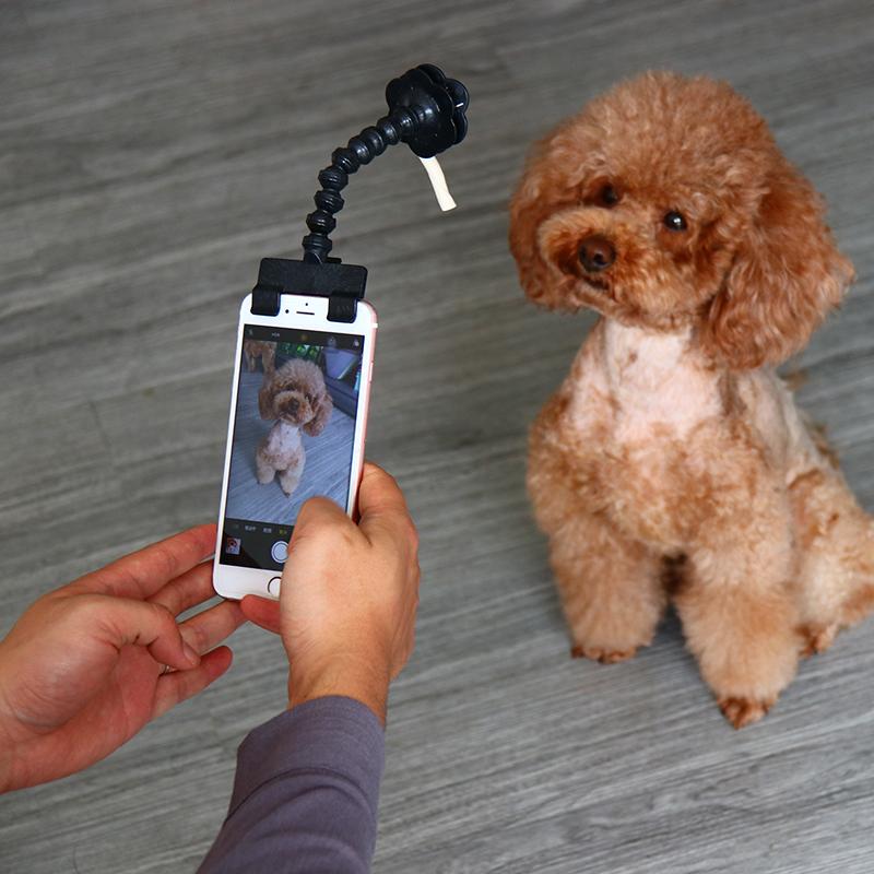 Pet Selfie Stick - Minihomy