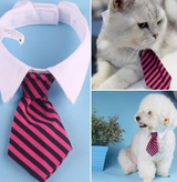 Pet bow tie tie child baby tie cartoon print small tie spot dog tie - Minihomy