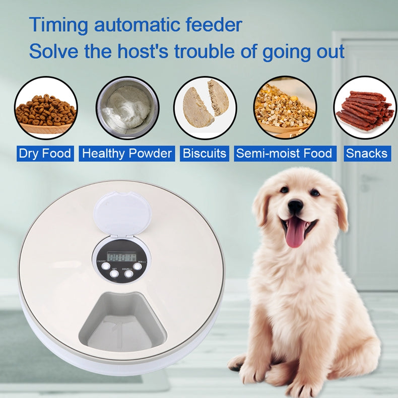 Pet Automatic Round Timing Feeder with 6 Grids Voice Recorder - Minihomy