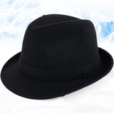 Autumn And Winter Men's Top Hat Woolen Hats - Minihomy